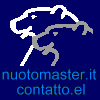 Nuoto Master