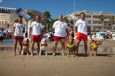 SirensSwim2025-163.jpg