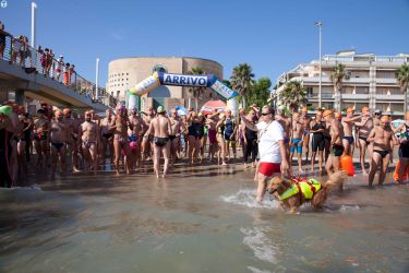 SirensSwim2025-26.jpg