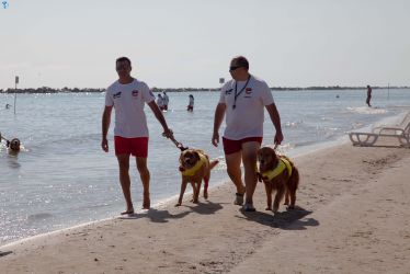 SirensSwim2025-54.jpg