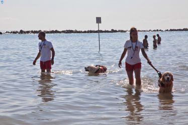 SirensSwim2025-56.jpg