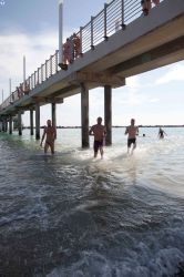 SirensSwim2025-84.jpg